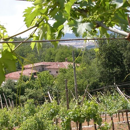 Agriturismo Ca' Verde SantʼAmbrogio di Valpolicella Esterno foto