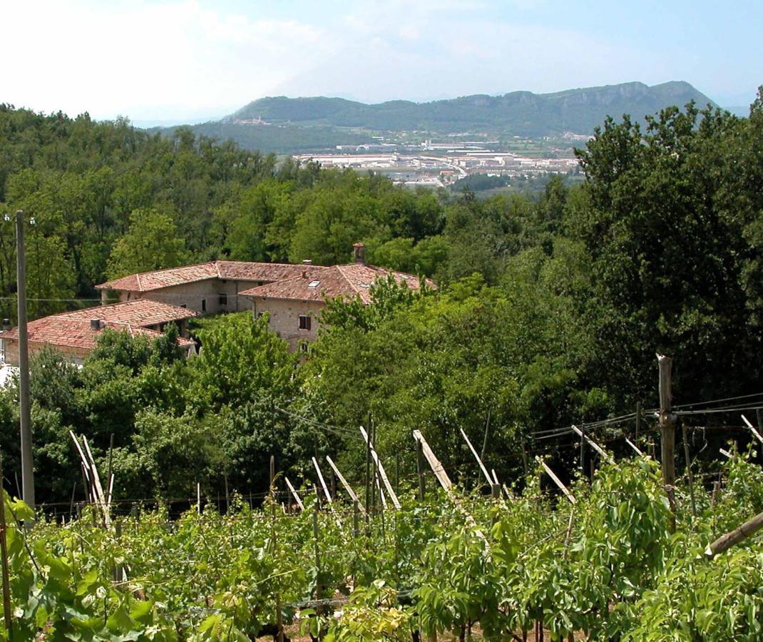 Agriturismo Ca' Verde SantʼAmbrogio di Valpolicella Esterno foto