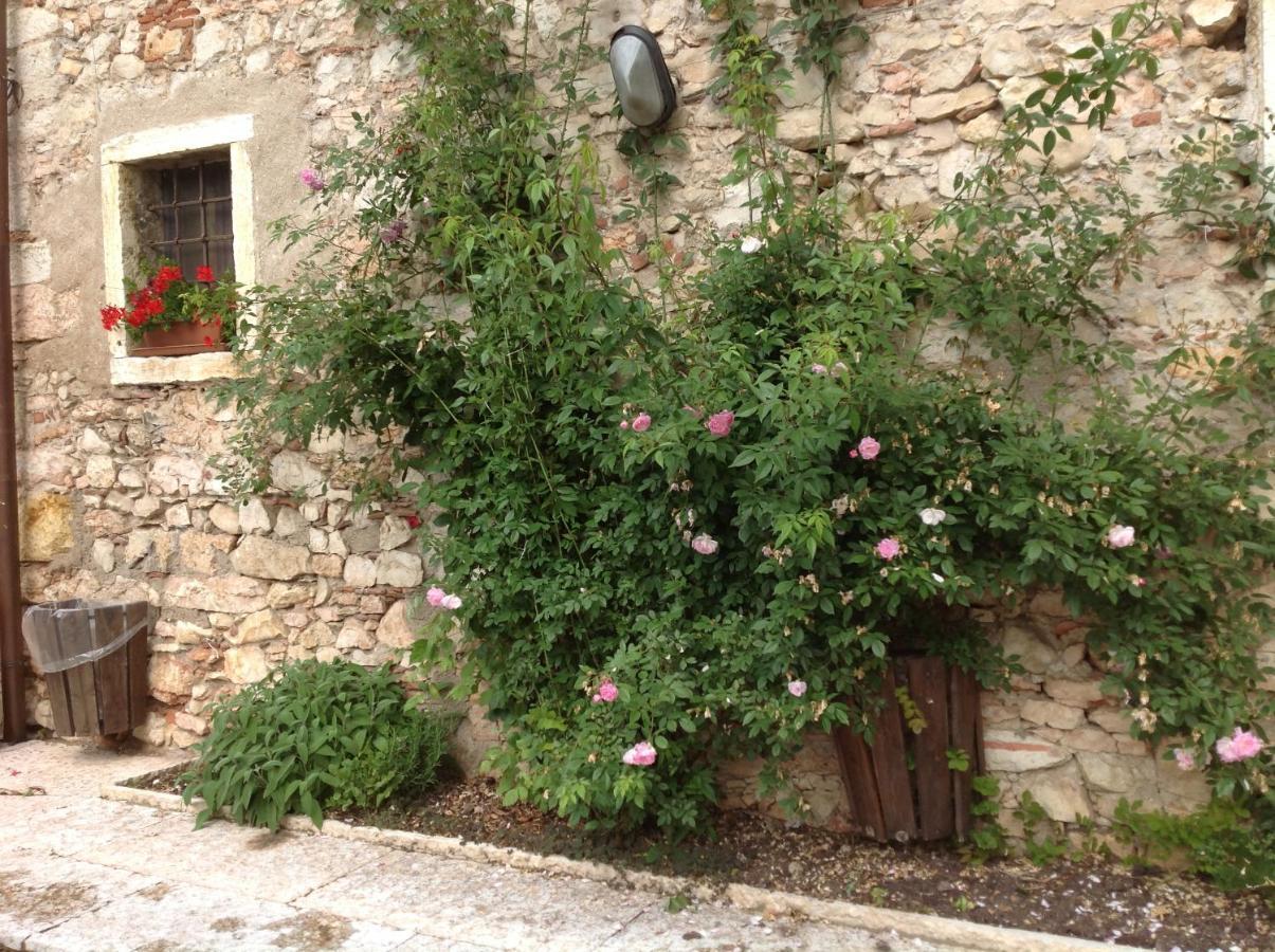 Agriturismo Ca' Verde SantʼAmbrogio di Valpolicella Esterno foto