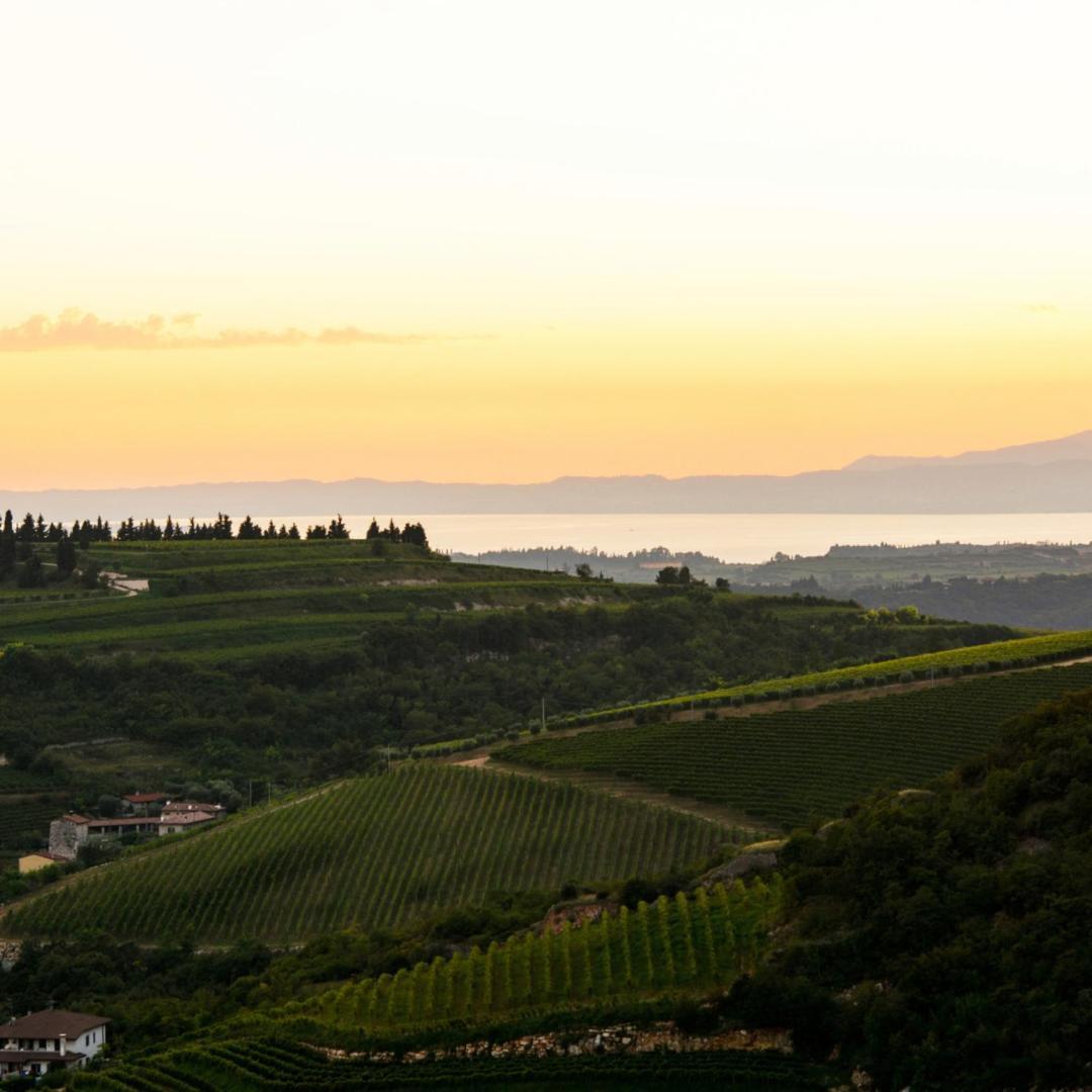 Agriturismo Ca' Verde SantʼAmbrogio di Valpolicella Esterno foto