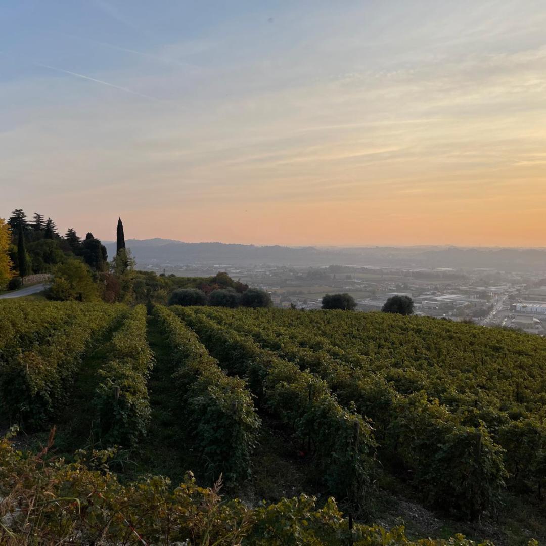 Agriturismo Ca' Verde SantʼAmbrogio di Valpolicella Esterno foto