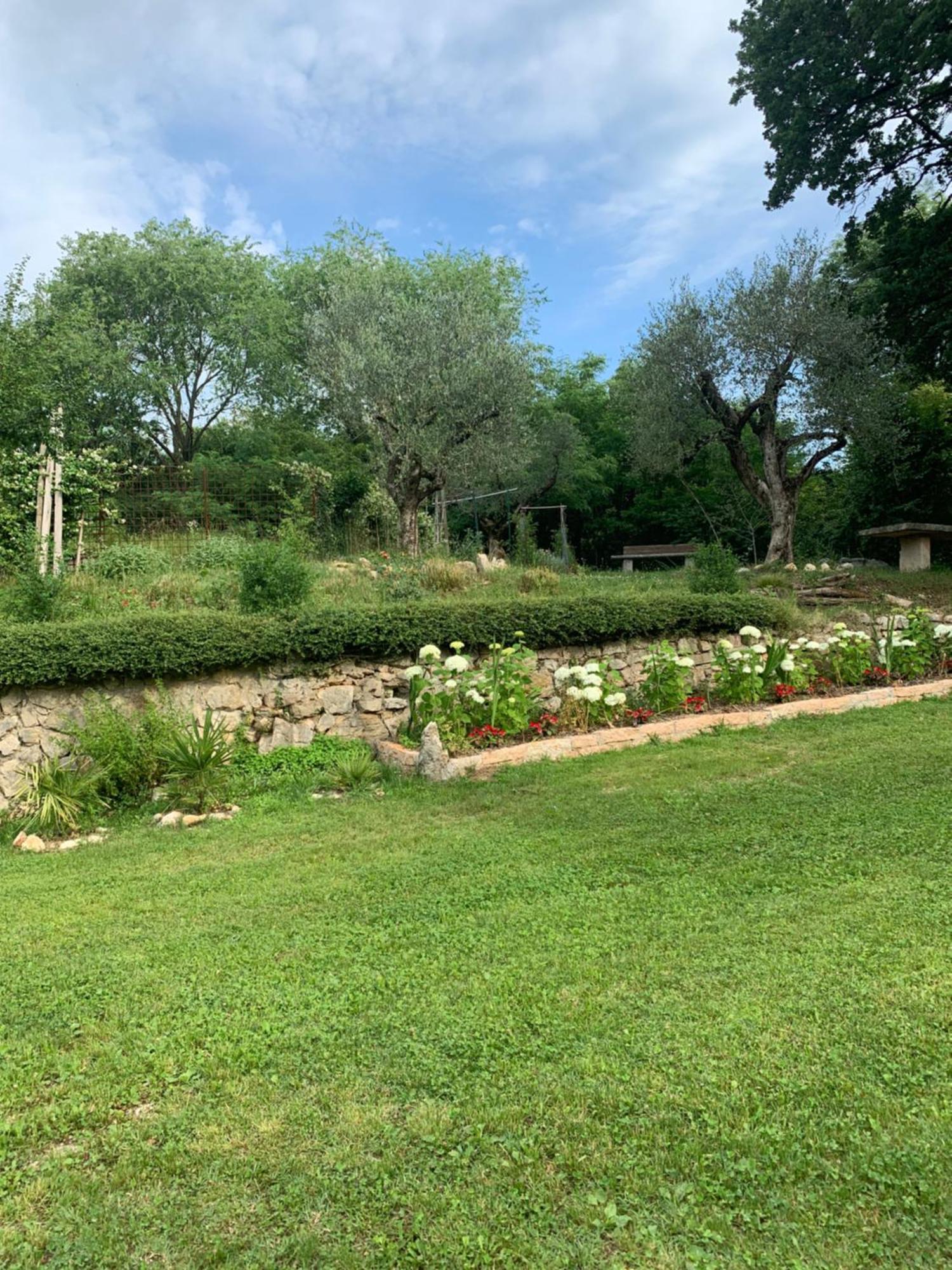 Agriturismo Ca' Verde SantʼAmbrogio di Valpolicella Esterno foto