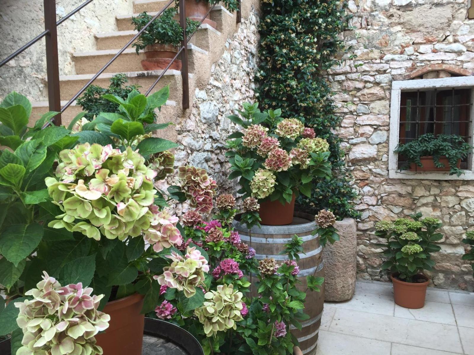 Agriturismo Ca' Verde SantʼAmbrogio di Valpolicella Esterno foto
