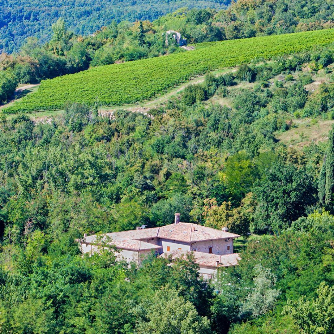 Agriturismo Ca' Verde SantʼAmbrogio di Valpolicella Esterno foto